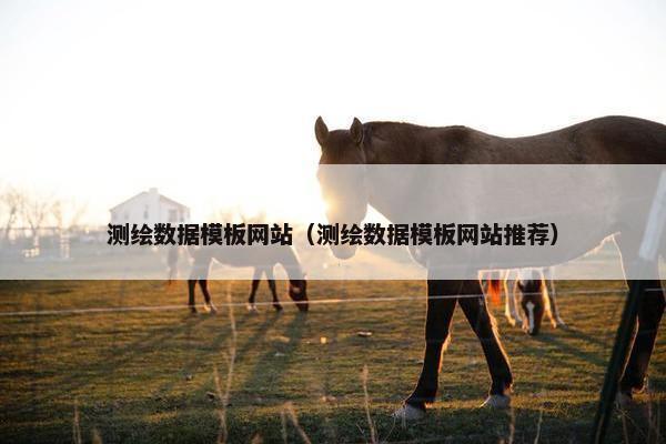 测绘数据模板网站（测绘数据模板网站推荐）