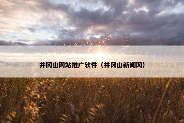 井冈山网站推广软件（井冈山新闻网）
