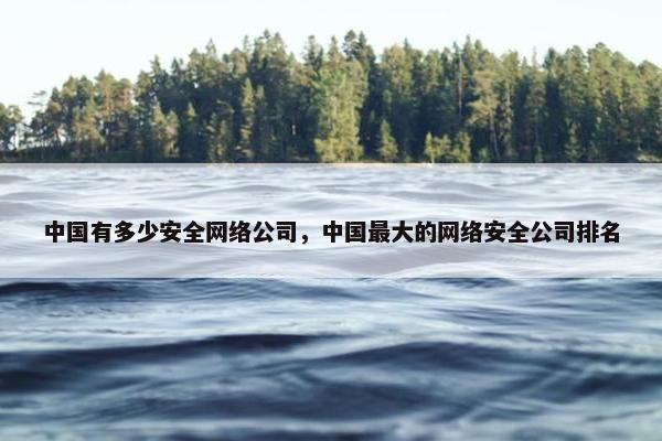 中国有多少安全网络公司，中国最大的网络安全公司排名