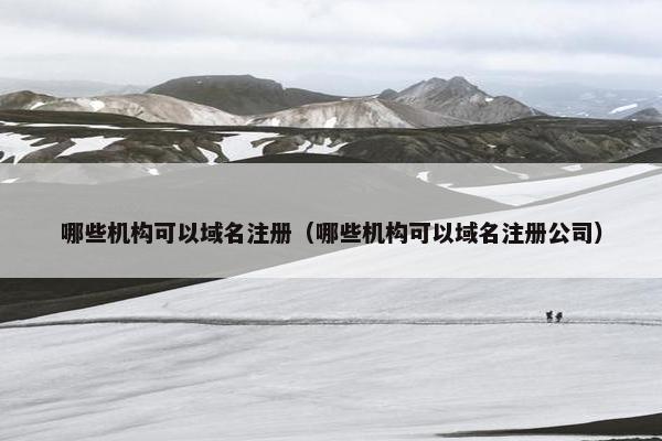 哪些机构可以域名注册（哪些机构可以域名注册公司）