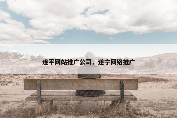 遂平网站推广公司，遂宁网络推广