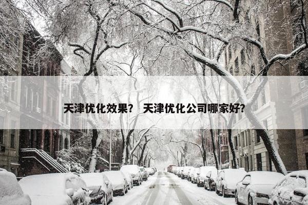 天津优化效果？ 天津优化公司哪家好？