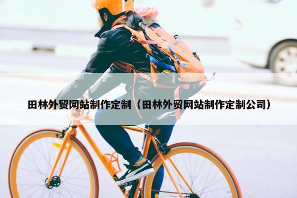 田林外贸网站制作定制（田林外贸网站制作定制公司）