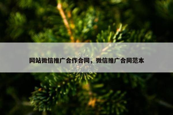 网站微信推广合作合同，微信推广合同范本