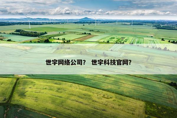 世宇网络公司？ 世宇科技官网？