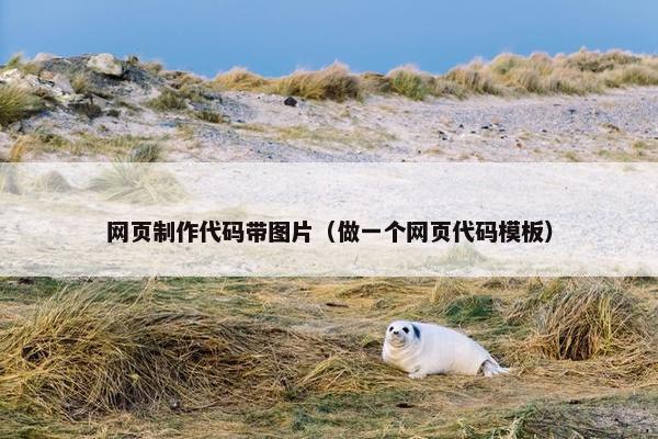 网页制作代码带图片（做一个网页代码模板）