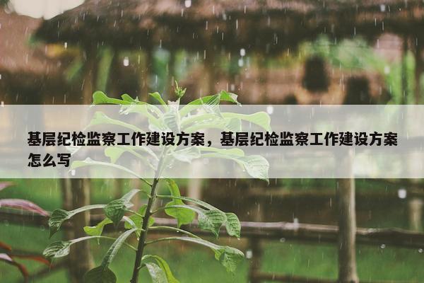 基层纪检监察工作建设方案，基层纪检监察工作建设方案怎么写