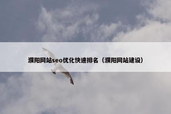 濮阳网站seo优化快速排名（濮阳网站建设）
