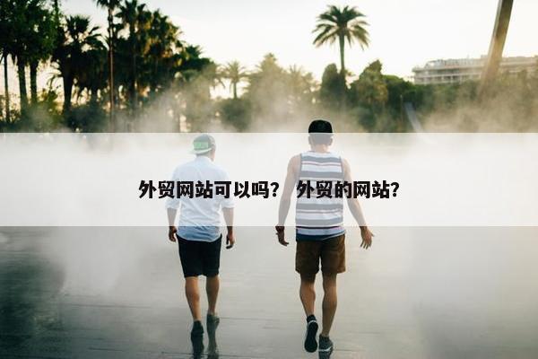 外贸网站可以吗？ 外贸的网站？