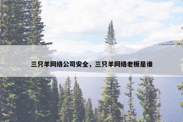三只羊网络公司安全，三只羊网络老板是谁