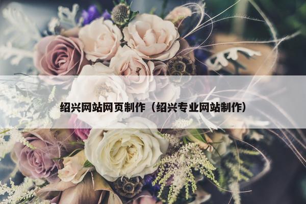 绍兴网站网页制作（绍兴专业网站制作）