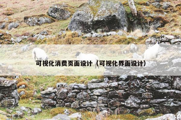 可视化消费页面设计（可视化界面设计）