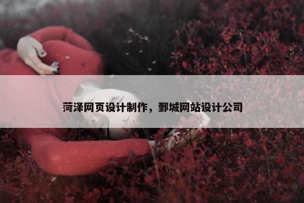 菏泽网页设计制作，鄄城网站设计公司