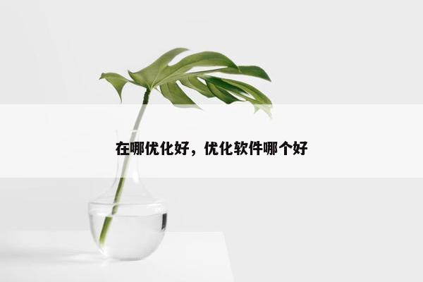 在哪优化好，优化软件哪个好