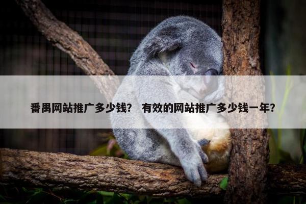 番禺网站推广多少钱？ 有效的网站推广多少钱一年？