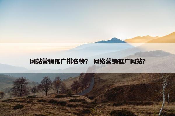网站营销推广排名榜？ 网络营销推广网站？