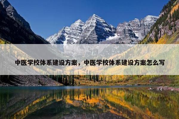 中医学校体系建设方案，中医学校体系建设方案怎么写