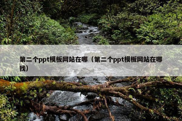 第二个ppt模板网站在哪（第二个ppt模板网站在哪找）