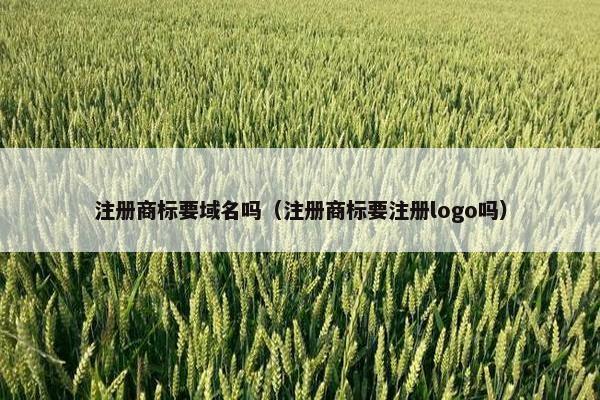 注册商标要域名吗（注册商标要注册logo吗）