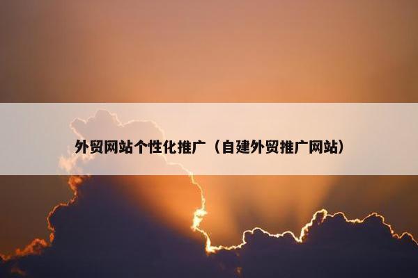 外贸网站个性化推广（自建外贸推广网站）