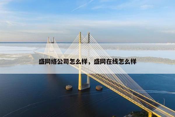 盛网络公司怎么样，盛网在线怎么样