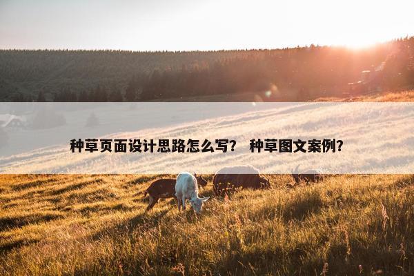 种草页面设计思路怎么写？ 种草图文案例？