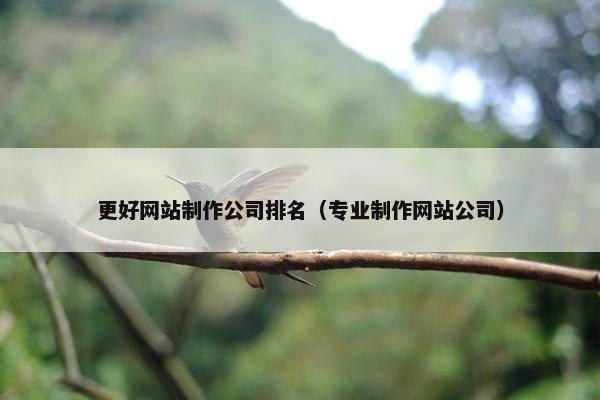 更好网站制作公司排名（专业制作网站公司）