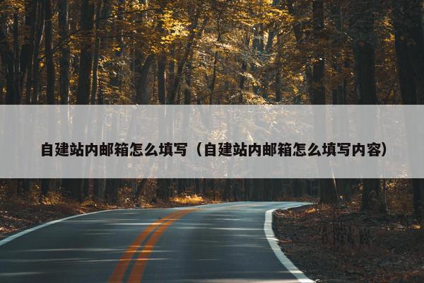 自建站内邮箱怎么填写（自建站内邮箱怎么填写内容）