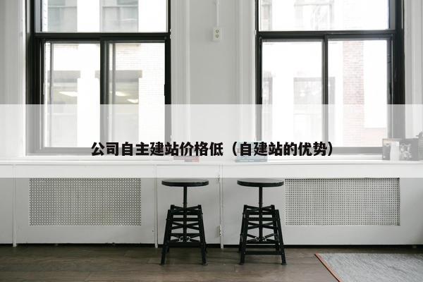 公司自主建站价格低（自建站的优势）
