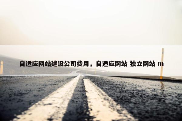 自适应网站建设公司费用，自适应网站 独立网站 m