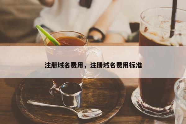 注册域名费用，注册域名费用标准