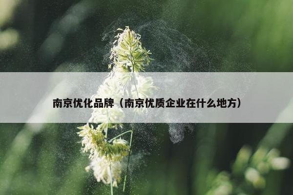 南京优化品牌（南京优质企业在什么地方）