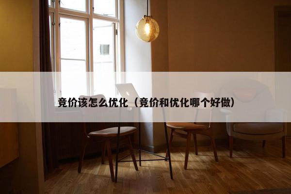 竞价该怎么优化（竞价和优化哪个好做）