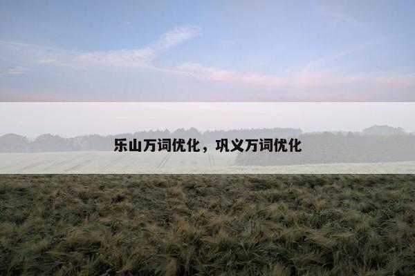 乐山万词优化，巩义万词优化