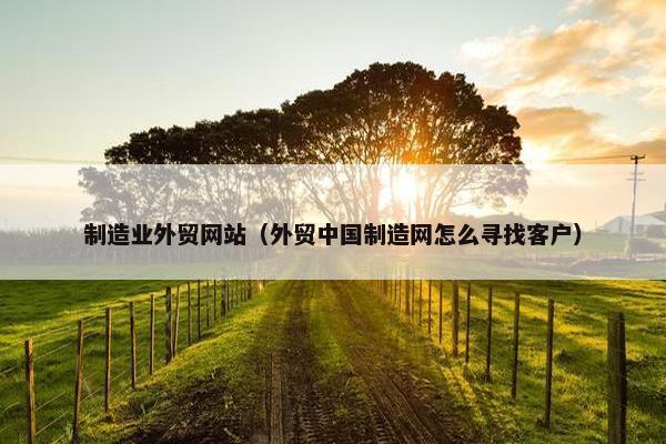 制造业外贸网站（外贸中国制造网怎么寻找客户）