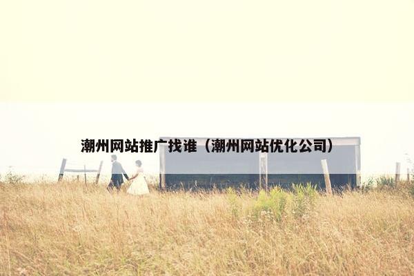 潮州网站推广找谁（潮州网站优化公司）