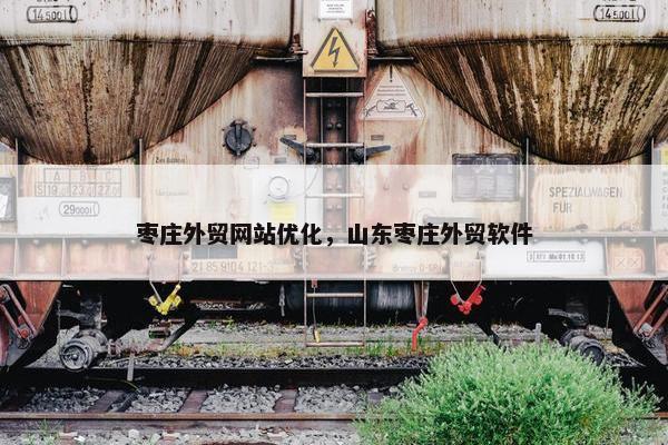 枣庄外贸网站优化，山东枣庄外贸软件