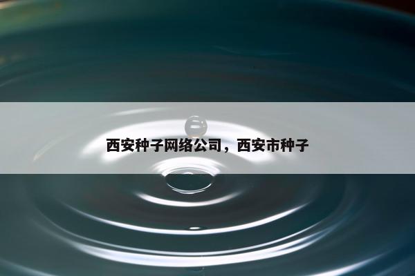 西安种子网络公司，西安市种子