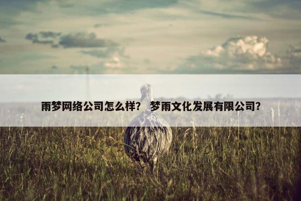 雨梦网络公司怎么样？ 梦雨文化发展有限公司？
