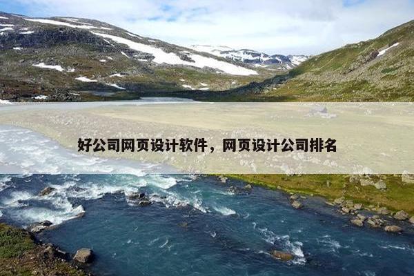 好公司网页设计软件，网页设计公司排名