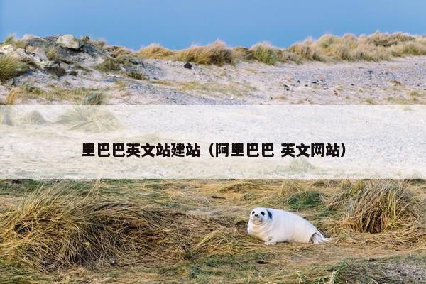 里巴巴英文站建站（阿里巴巴 英文网站）