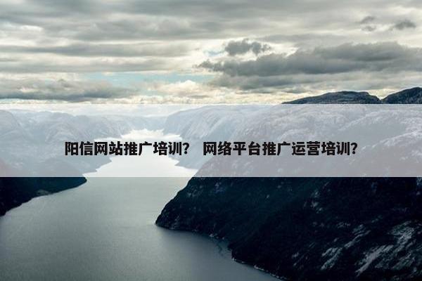 阳信网站推广培训？ 网络平台推广运营培训？