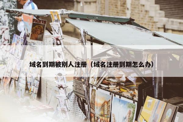 域名到期被别人注册（域名注册到期怎么办）
