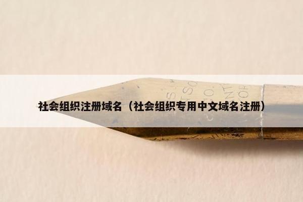 社会组织注册域名（社会组织专用中文域名注册）