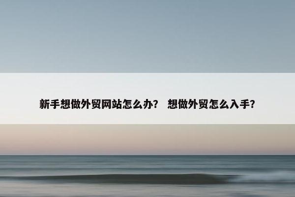新手想做外贸网站怎么办？ 想做外贸怎么入手？