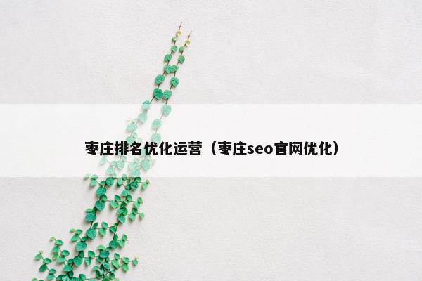枣庄排名优化运营（枣庄seo官网优化）