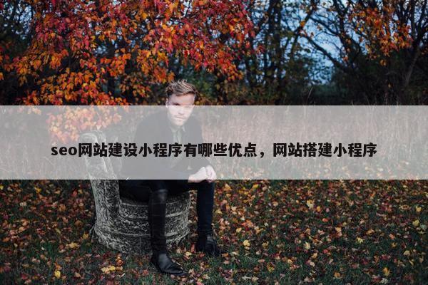 seo网站建设小程序有哪些优点，网站搭建小程序