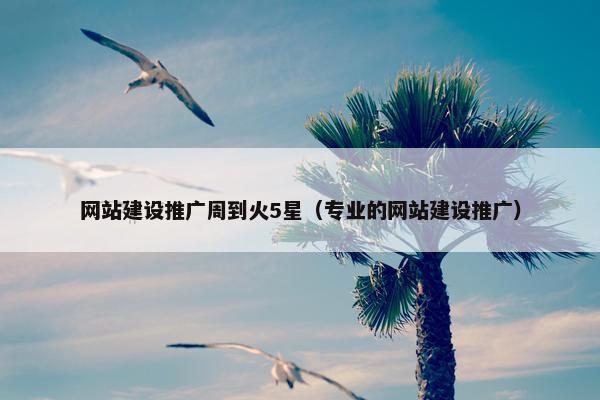 网站建设推广周到火5星（专业的网站建设推广）