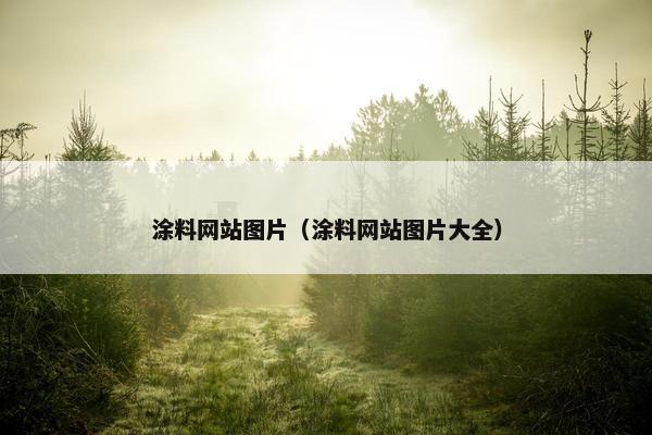 涂料网站图片（涂料网站图片大全）