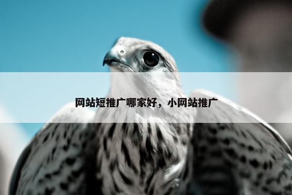 网站短推广哪家好，小网站推广
